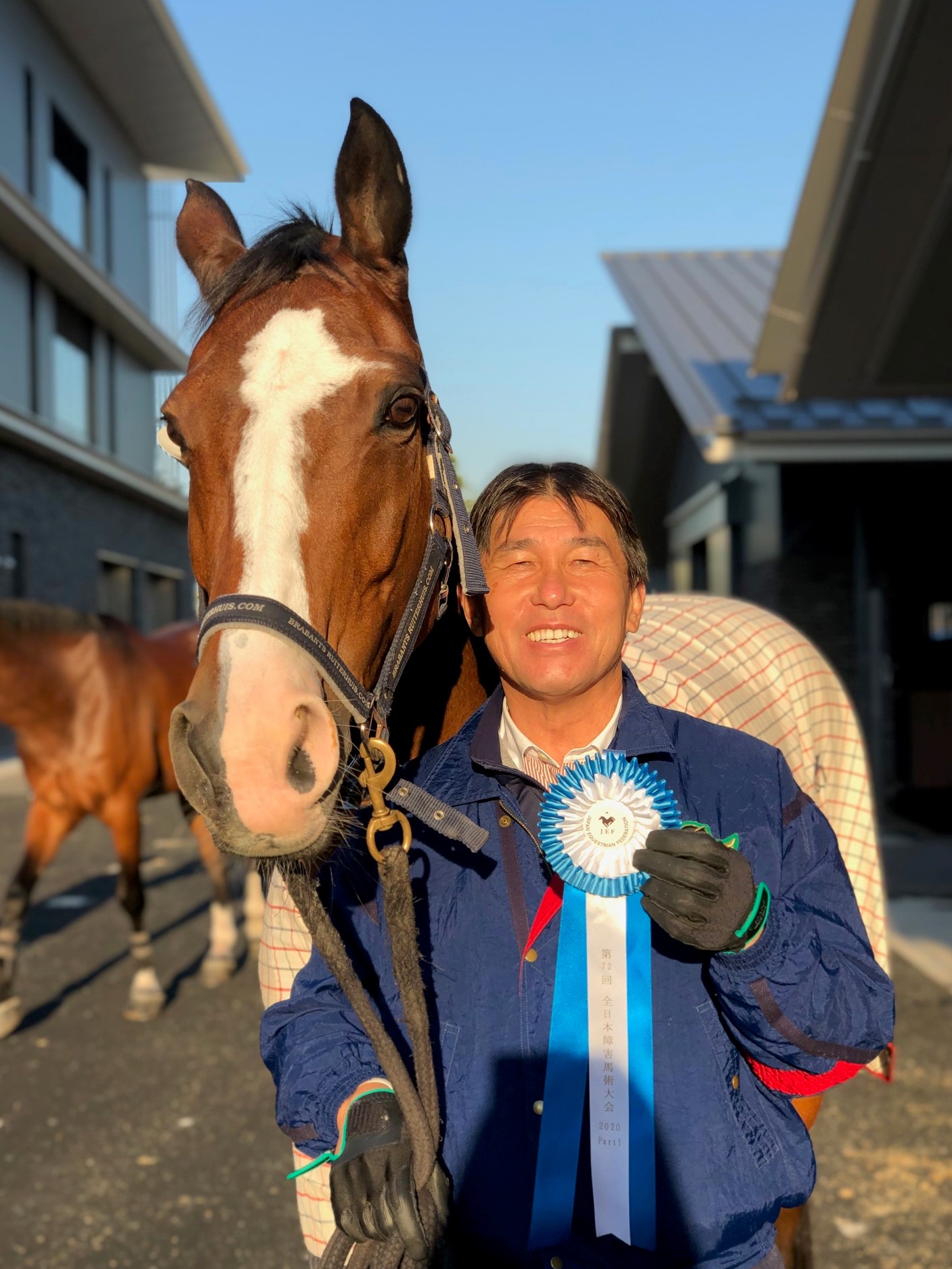 障害馬術 アンソニー・パールマン著　乗馬　馬 障害馬術(アンソニー・パールマン) / 古本、中古本、古書籍の